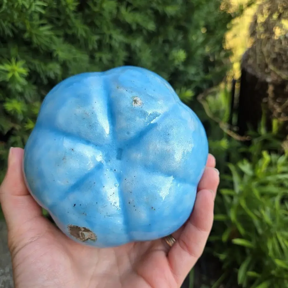 Enamel Trinket Blue Dish Leaves